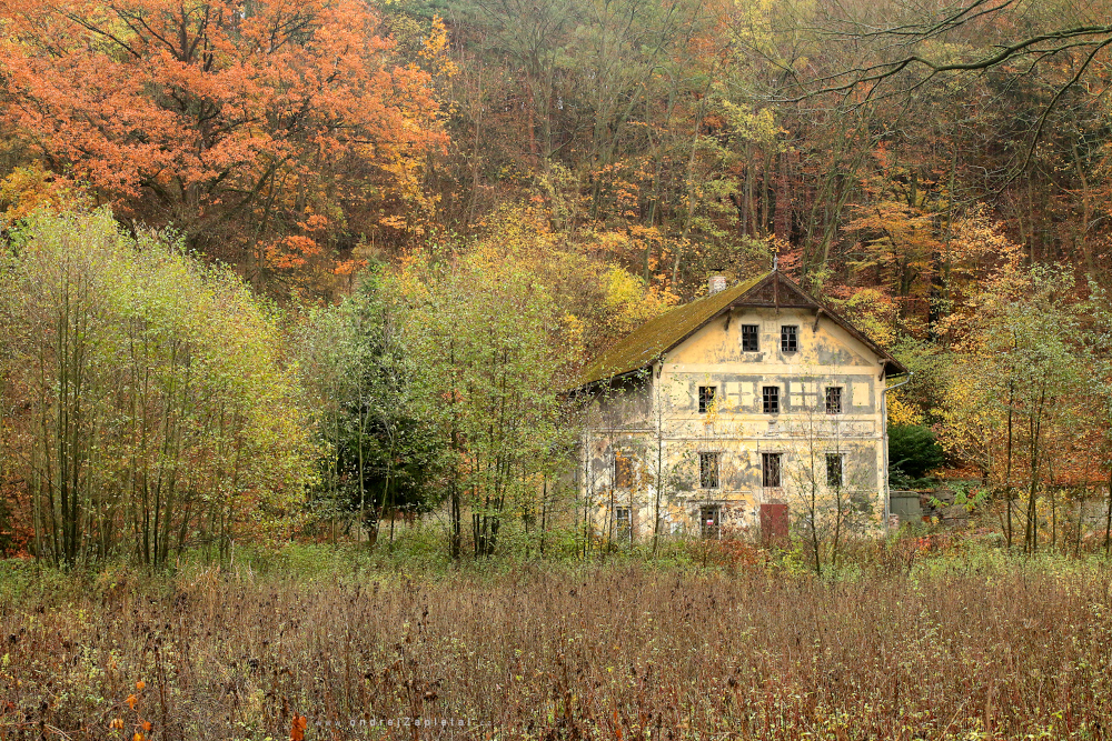 Mill in Valley (On the photo:  (Architecture photography) budova, podzim, venkov)