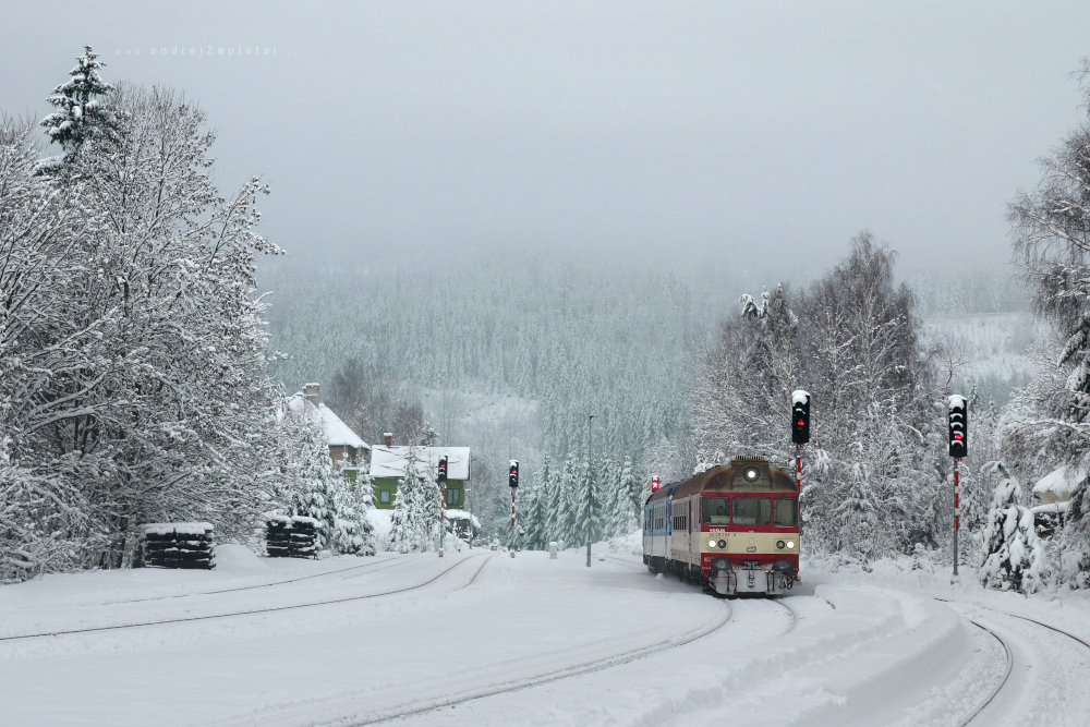 Arriving from Snowy Lands (On the photo:  zima, sníh, vlak)
