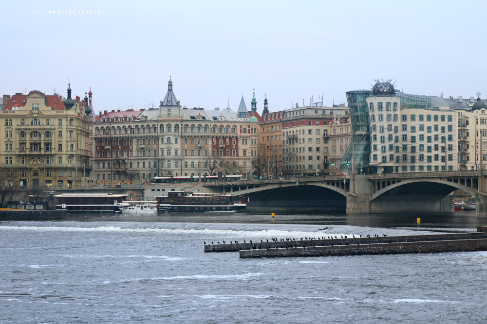 Jiraskovo Square (On the photo:  (Urban photography) řeka, praha, zima, ptáci)