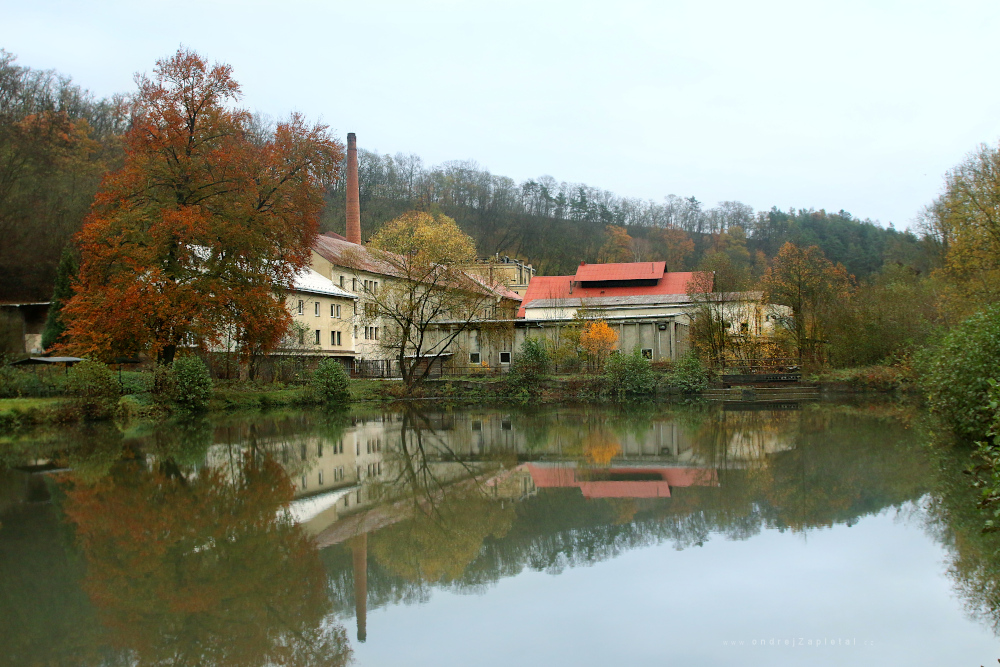 Brewery behind a Pond (On the photo: podzim, stromy, voda)