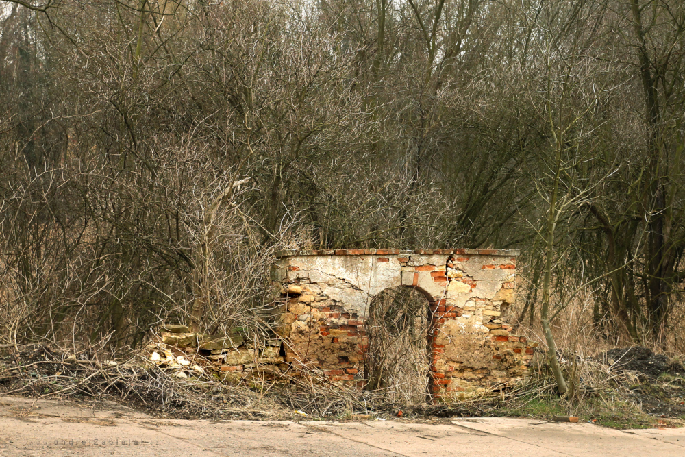 Zbytky (Na fotografii:  (Fotografie opuštěných míst) cihly, ruiny, podzim, stromy)