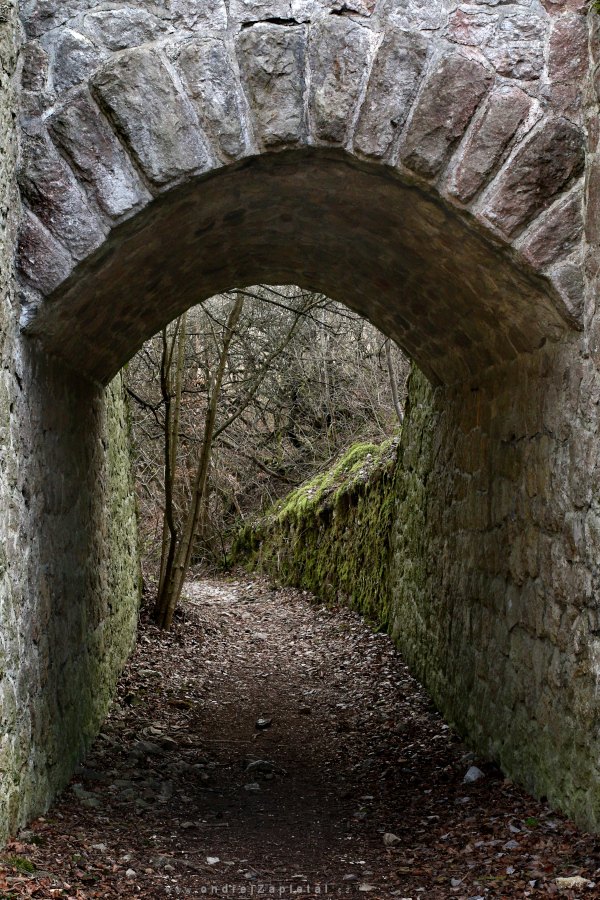 Walk Through (On the photo:  mech, cesta)