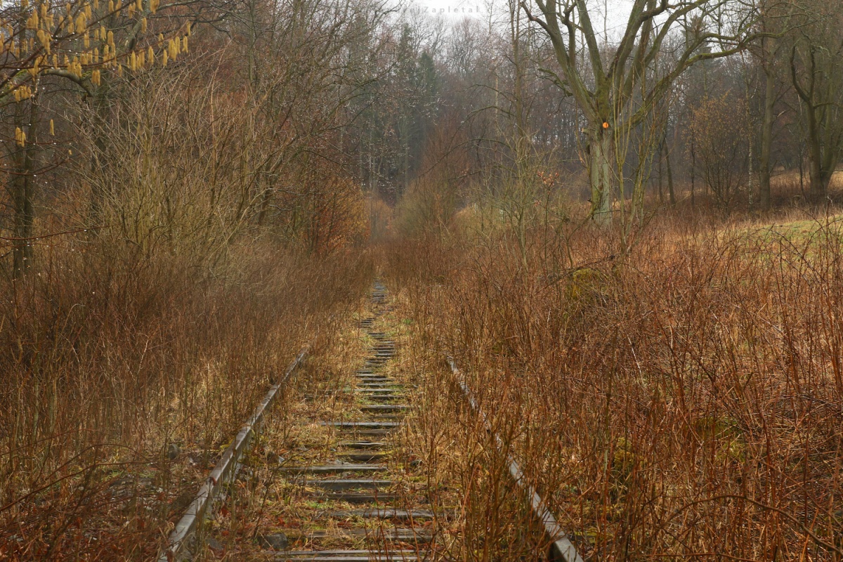 Koleje do nikam (Na fotografii:  (Fotografie opuštěných míst) vlak, industrial, stromy, cesta)