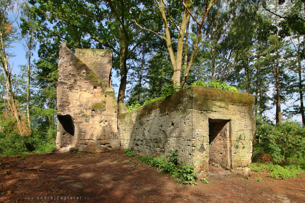 Castle in the Woods (On the photo:  hrad, les, léto)