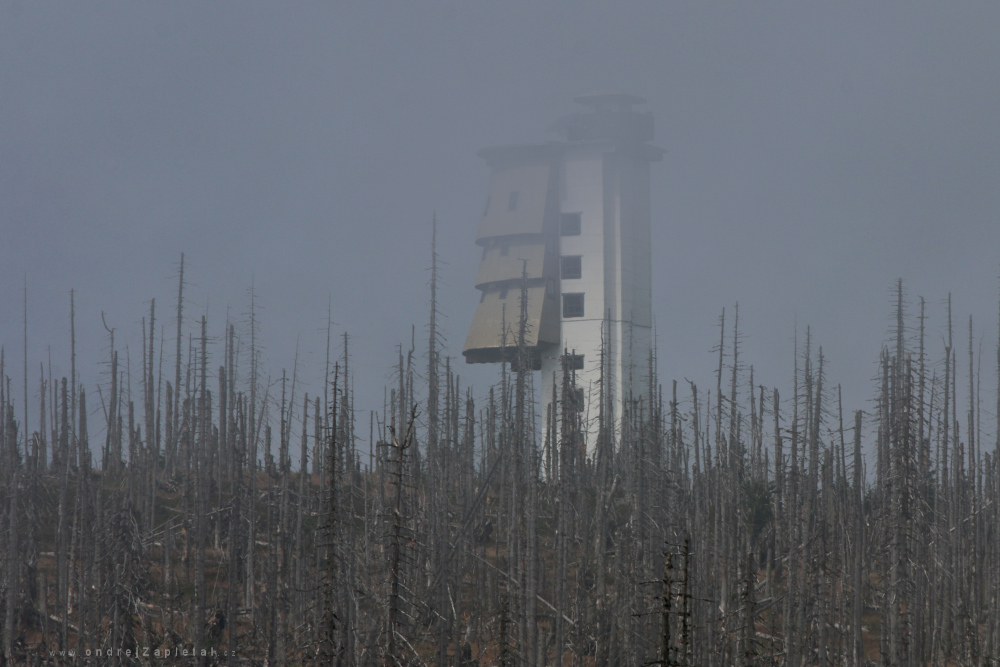 Fotografie After Hurricane, na fotce: tower, forest, nature, army, autor: Ondřej Zapletal