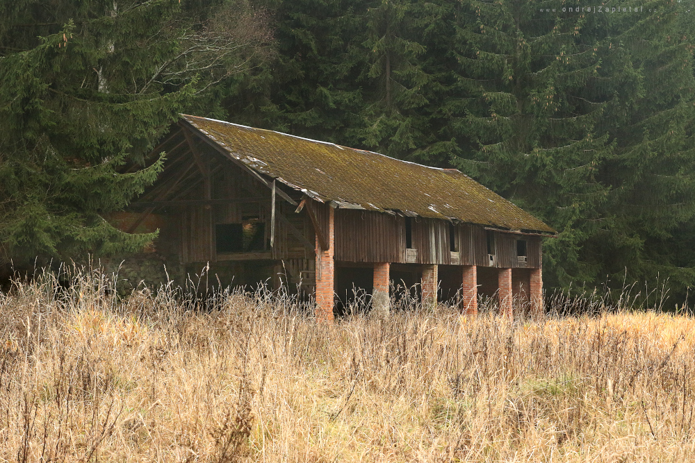Barn (On the photo:  (Urbex photography) stromy, cihly, ruiny, venkov)