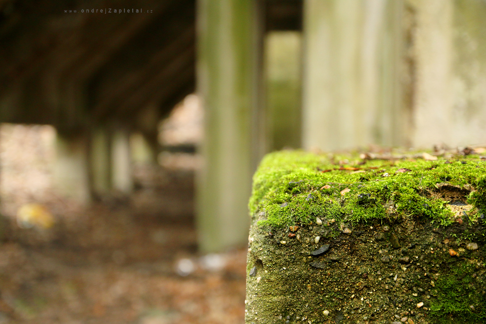 Mossy Concrete (On the photo:  (Urbex photography) mech, industrial, beton, ruiny)