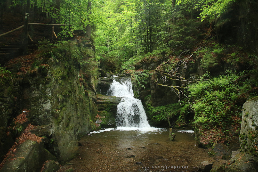 Rešov Waterfalls (On the photo:  (Nature photography) voda, skála, příroda, les, řeka)