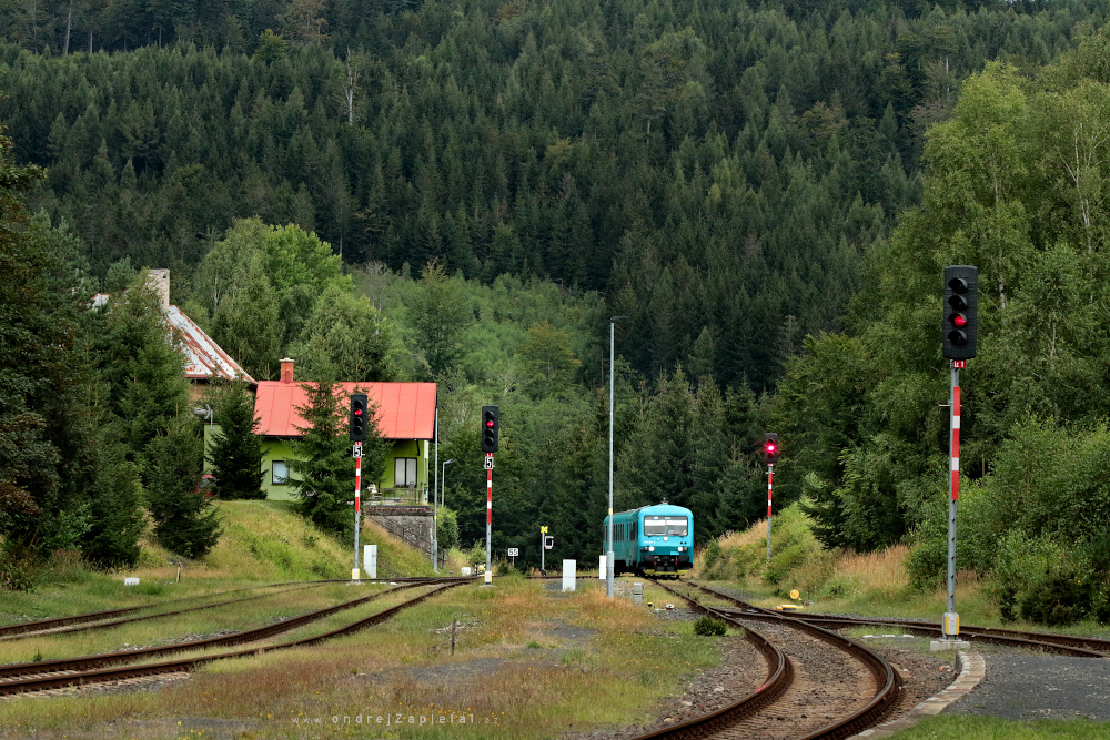 Arrival from the Green Lands (On the photo:  vlak, les, elektřina, stromy, hory)