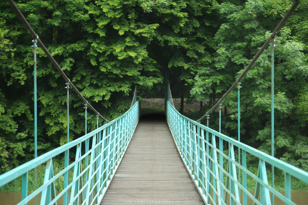 Bridge Hanging (On the photo:  most, stromy, řeka, léto)