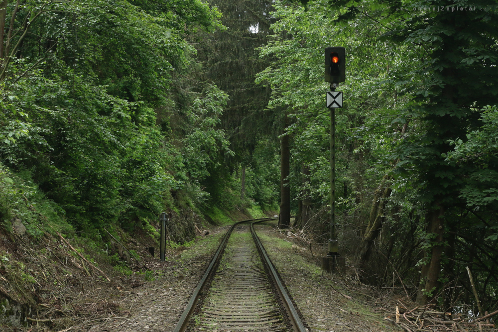 Oranžové světlo (Na fotografii:  vlak, elektřina, stromy, les, léto)