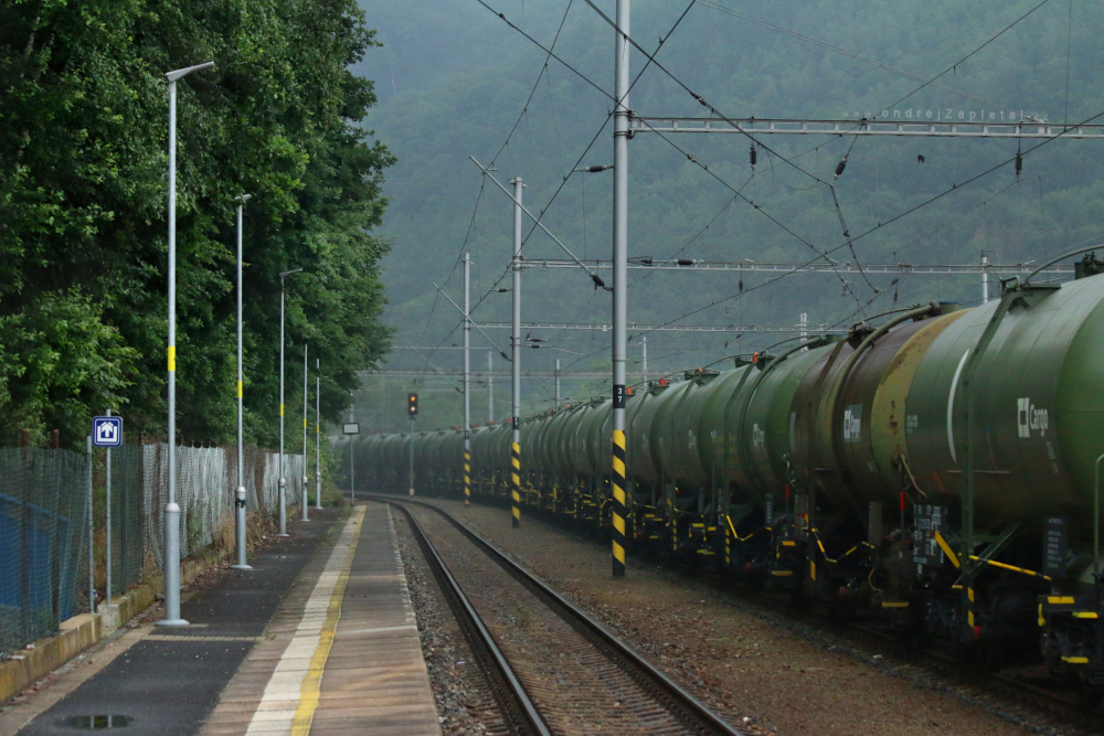 Long Train (On the photo:  vlak, stromy, industrial)