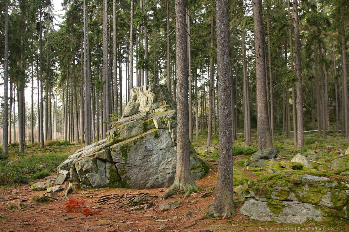 Pod Kloboučkem (Na fotografii:  (Fotografie přírody) skála, les, stromy, mech, příroda)