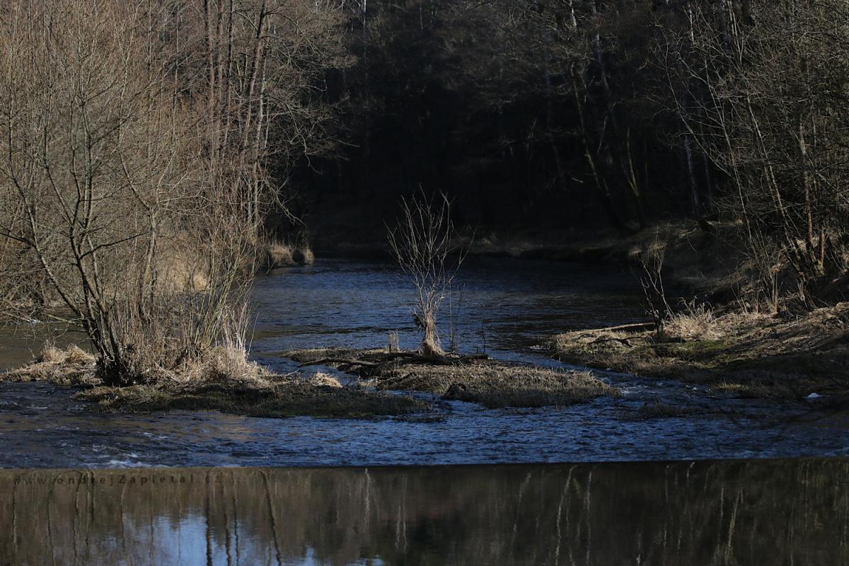 Tree in a river (On the photo:  (Nature photography) řeka, stromy, zima, voda, příroda)