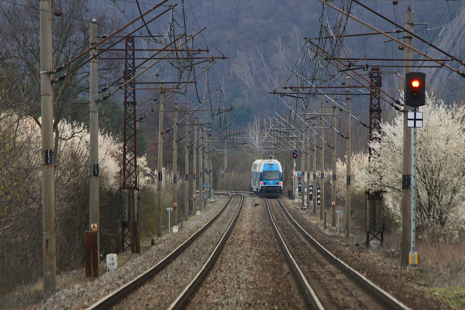 Journey through a Waking Country (On the photo:  vlak, stromy, jaro, elektřina)