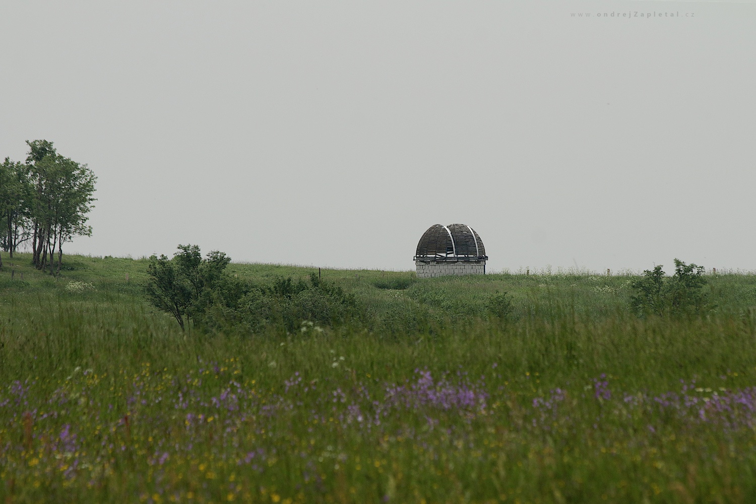 Unfinished Observatory (On the photo:  (Astrophotography) astronomie, louka, léto, květiny)