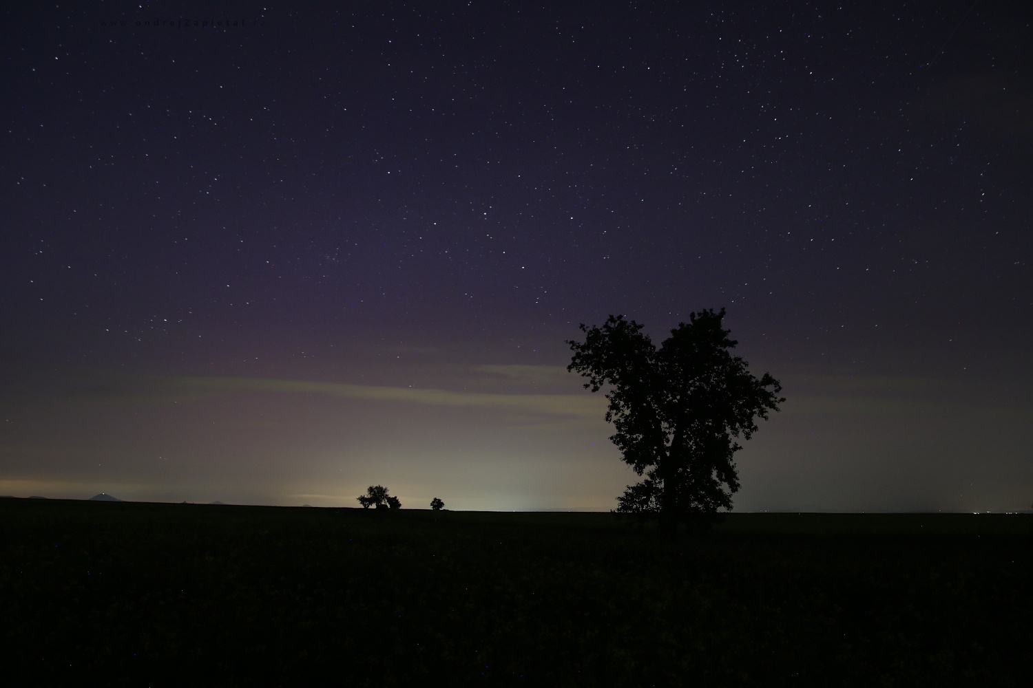 Tree under a Violet Sky (On the photo:  (Night photography) stromy, noc, obloha)