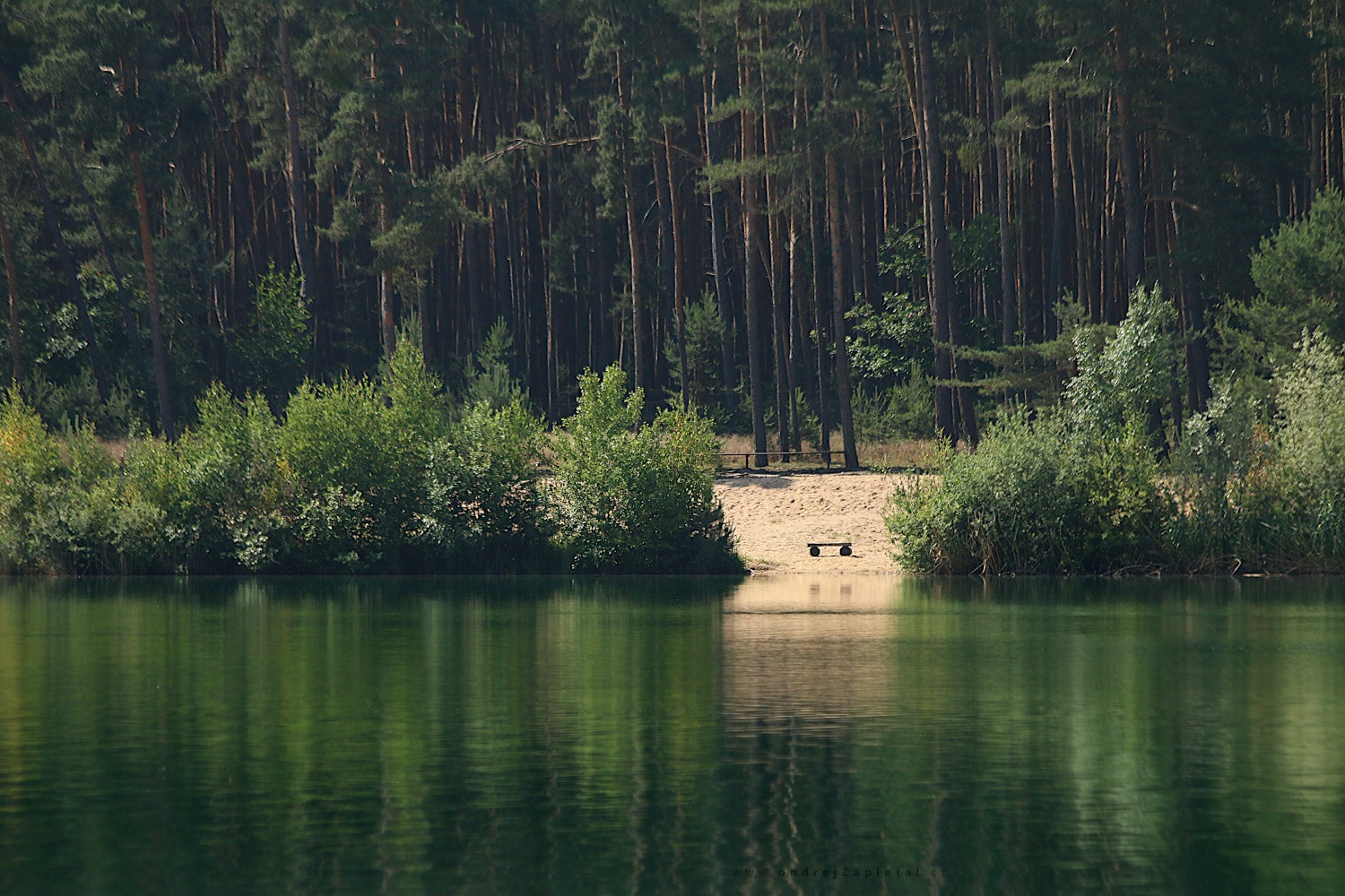 On the Other Side (On the photo:  voda, stromy, venkov, léto)