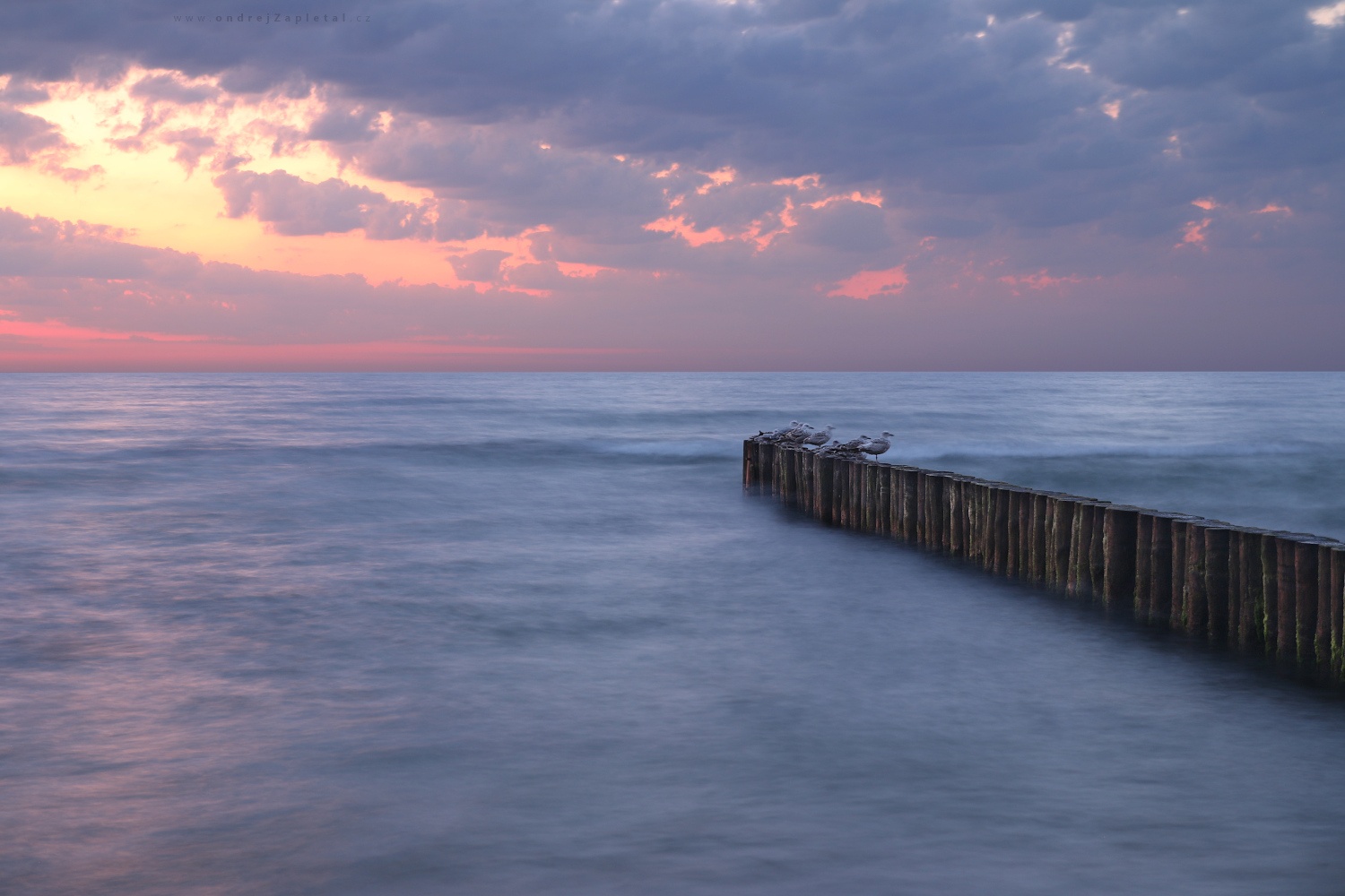 Seaguls at the End of Breakwater (On the photo:  (Landscape photography) moře, obloha, mraky, ptáci, voda, večer)