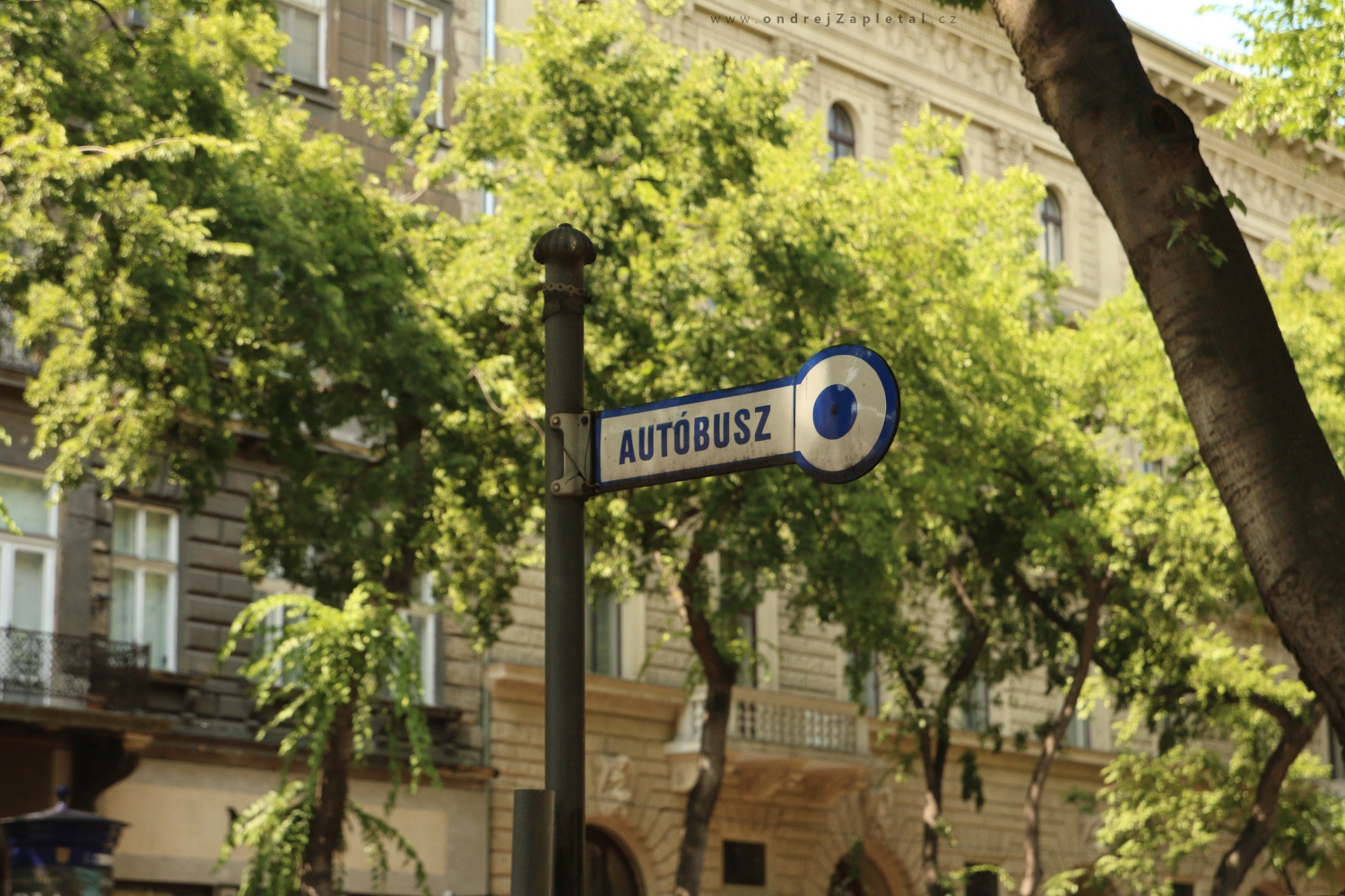 Autóbusz (On the photo:  (Urban photography) nápisy, ulice, město)