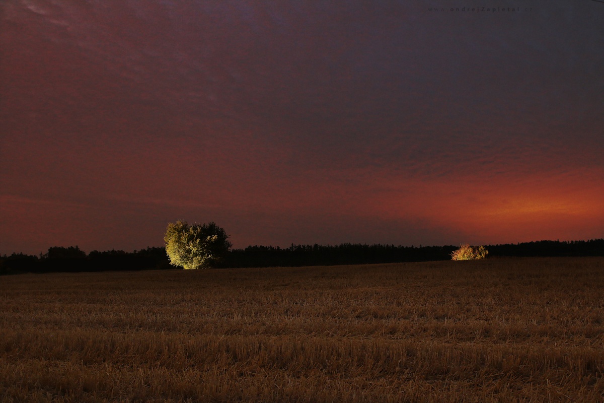  (On the photo:  (Rural photography) noc, pole, obloha)