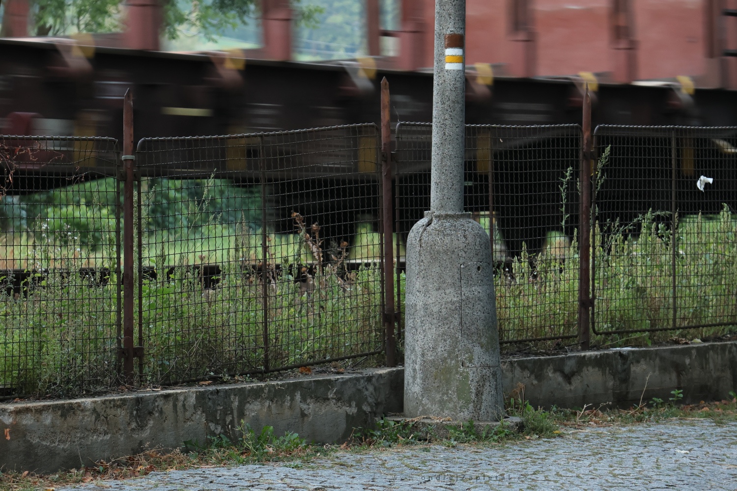 Candelabre (On the photo:  (Industrial Photography) vlak, ulice, industrial)