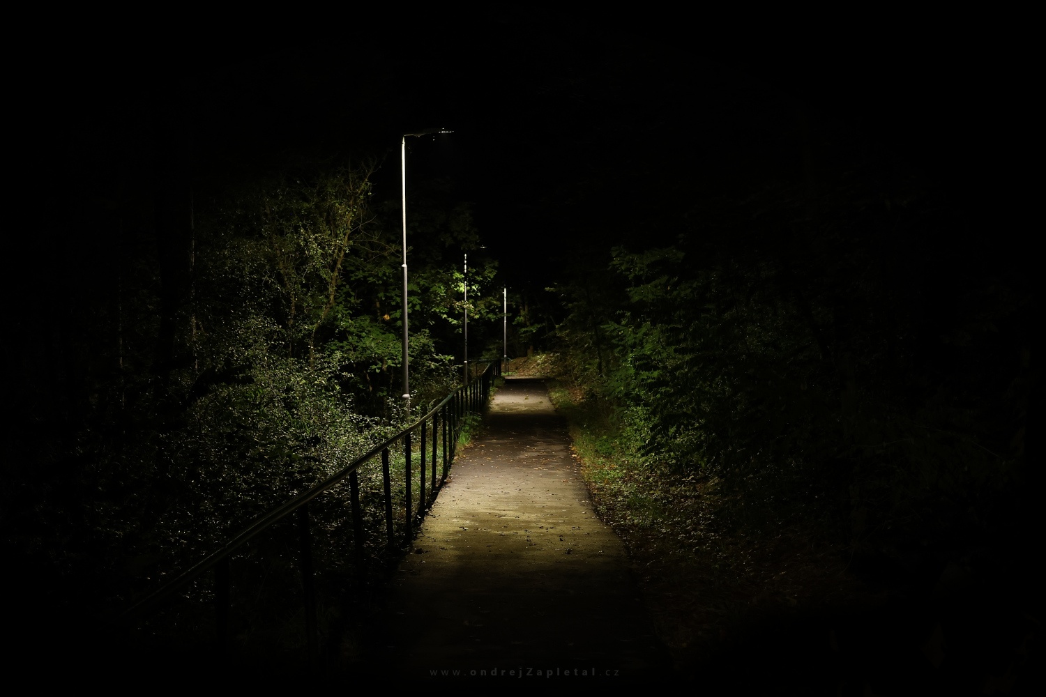 Path through a Night (On the photo:  (Night photography) noc, cesta, stromy)