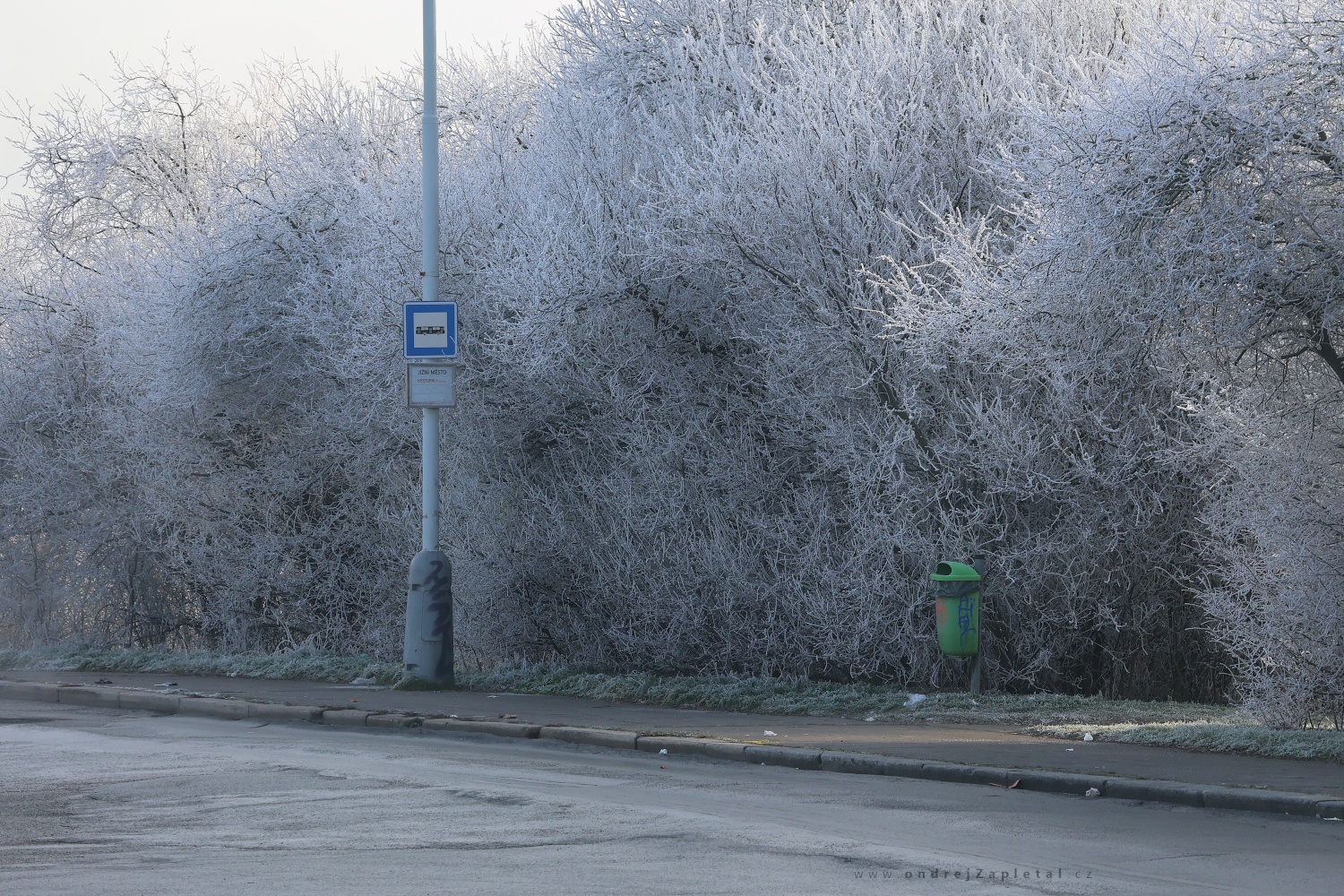 Stop for Exit (On the photo:  (Urban photography) zima, město, stromy)