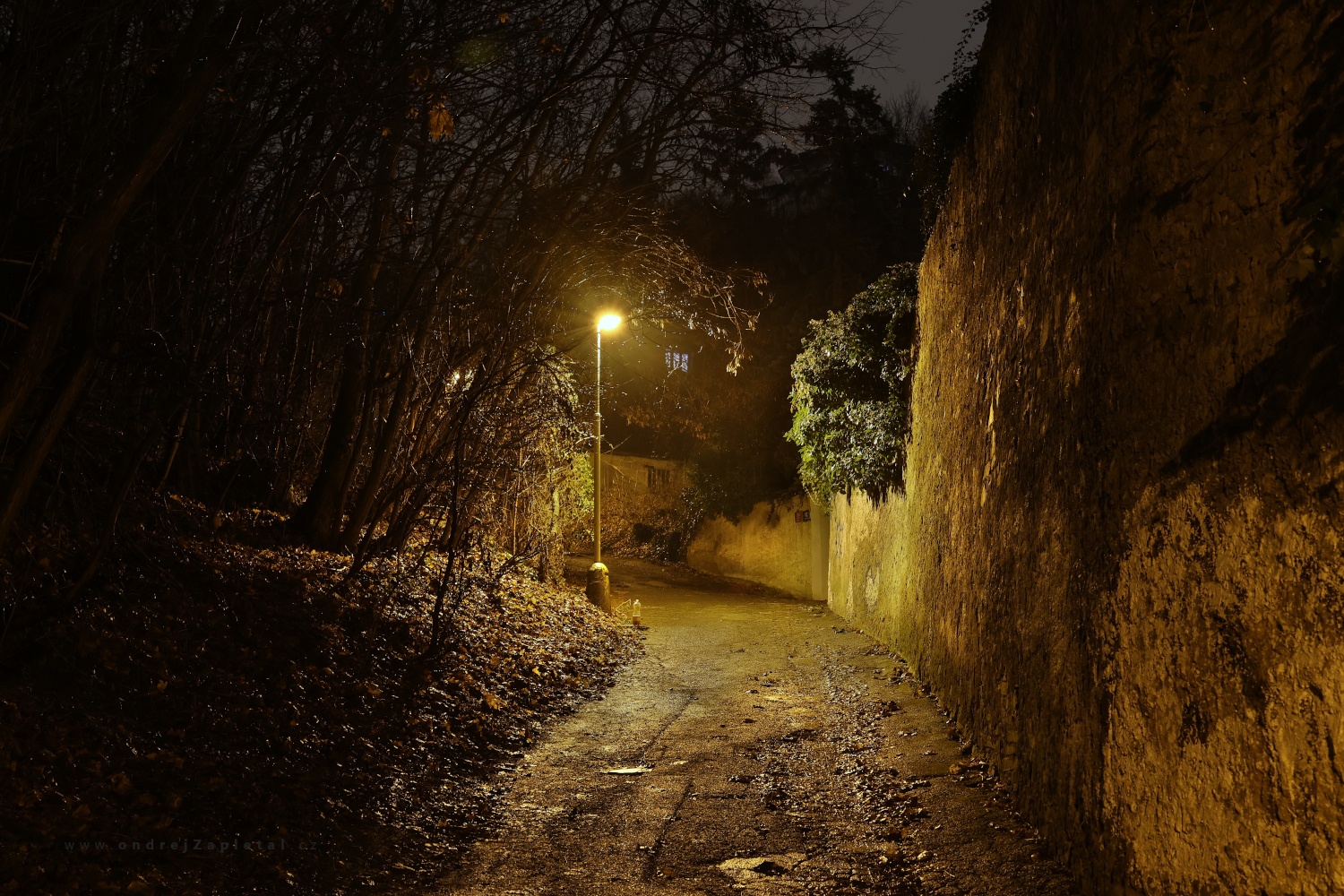 Narrow Street (On the photo:  (Urban photography) ulice, noc, praha)