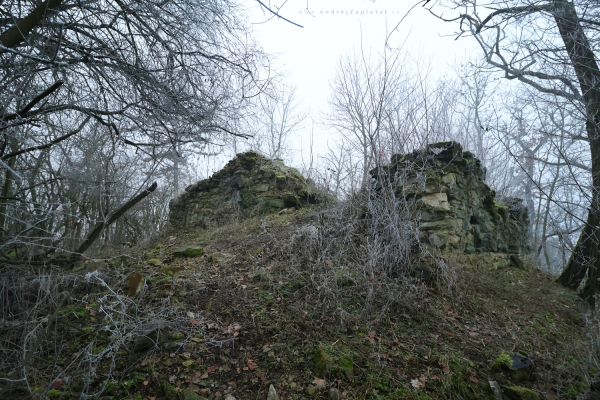 Ruins of a Bell Tower (On the photo:  (Urbex photography) ruiny, stromy, venkov, zima, ráno)