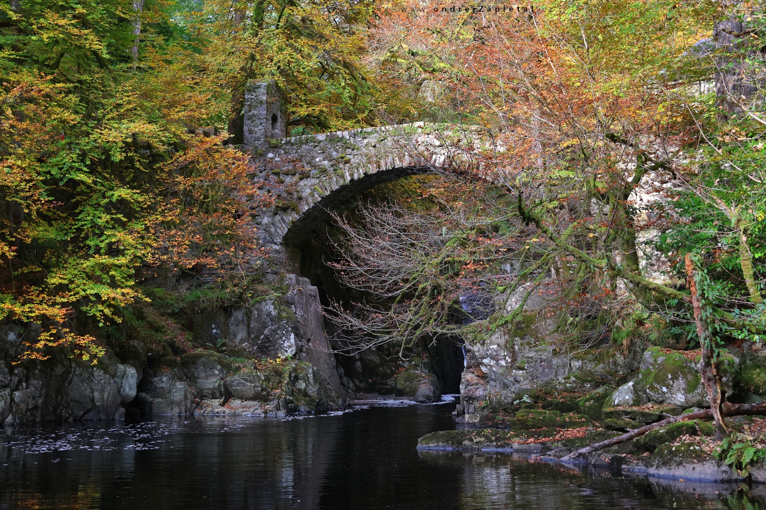 Most nad černou řekou (Na fotografii:  (Fotografie přírody) podzim, most, řeka)