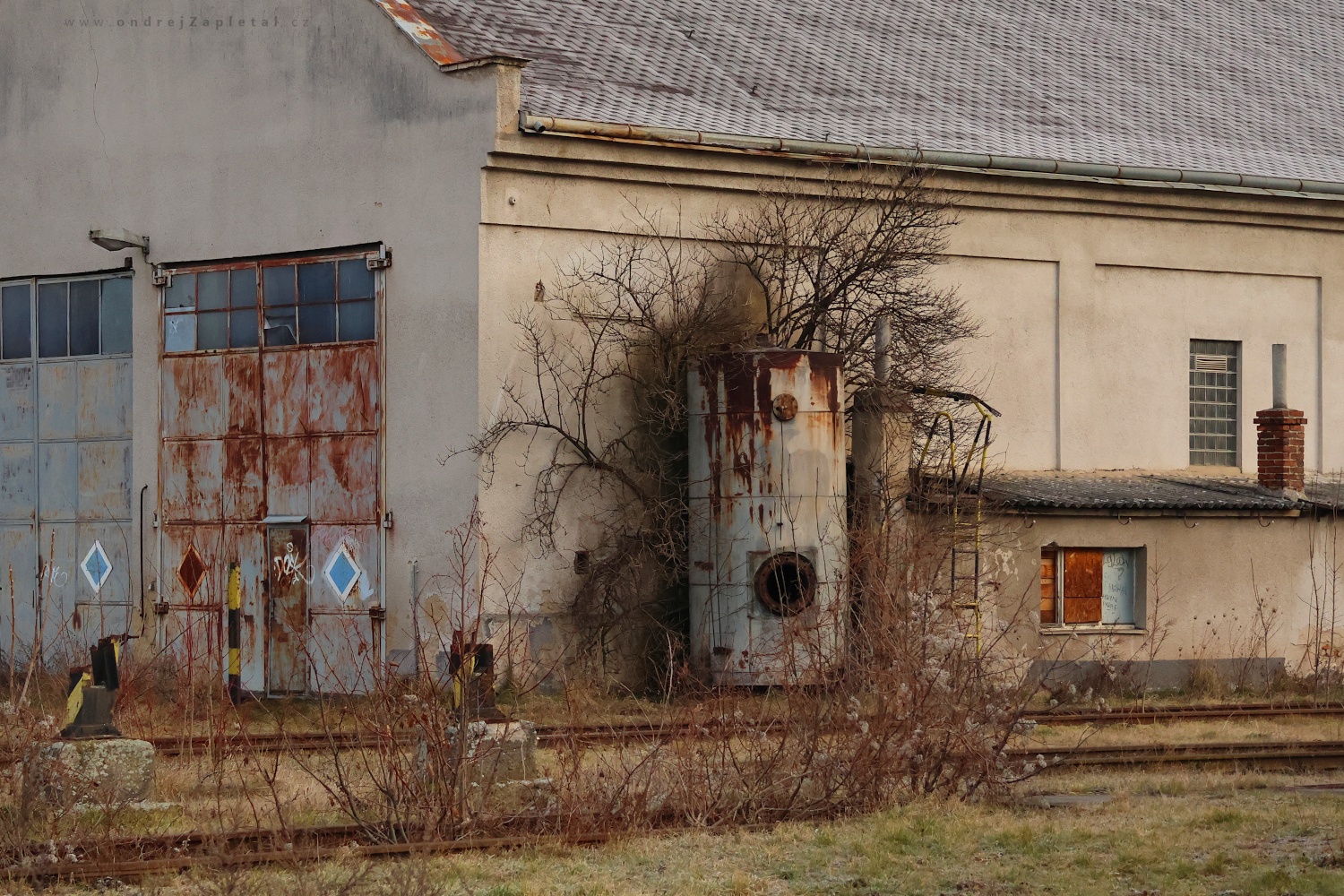Tree Hiding behind a Tank (On the photo:  (Urbex photography) industrial, vlak, budova, ruiny, železo, stromy)