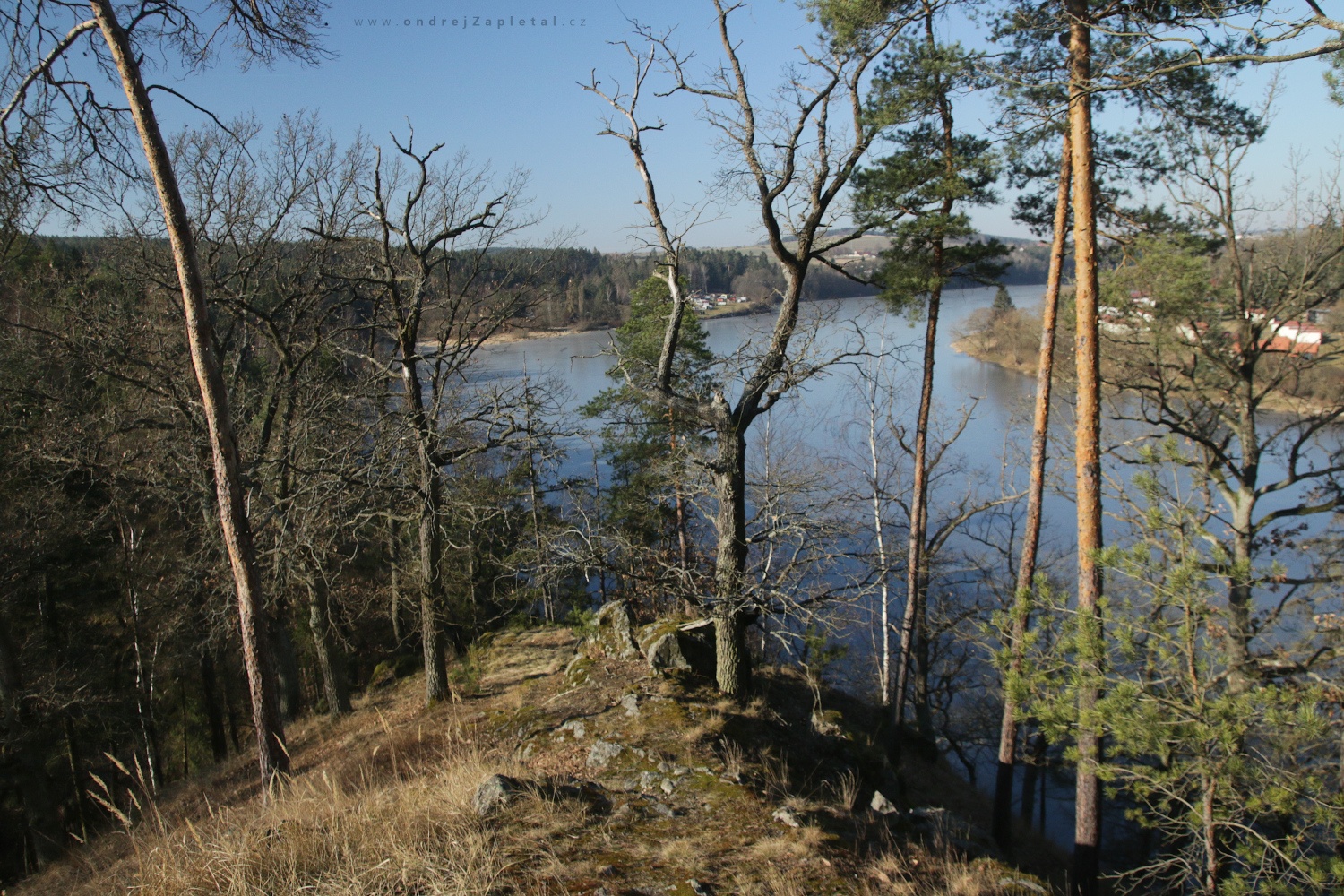 Over a River (On the photo:  (Landscape photography) stromy, řeka, zima)