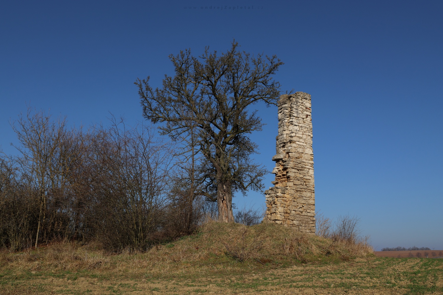 Ruins of a Chapel (On the photo:  (Rural photography) stromy, ruiny)