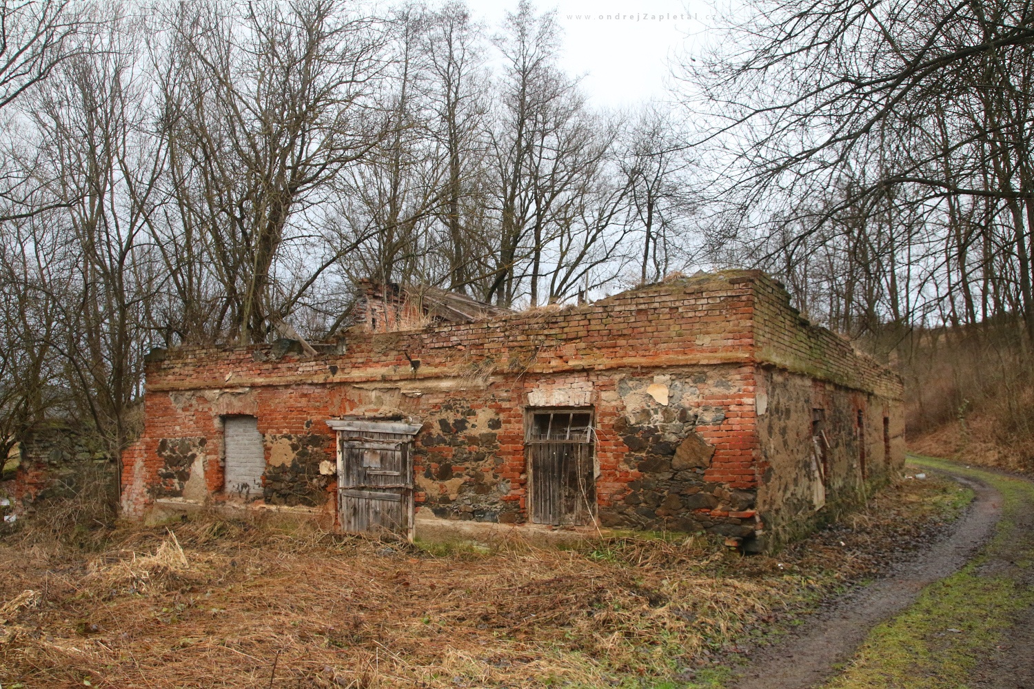 Old New Mill (On the photo:  (Urbex photography) ruiny, zima, cihly, stromy)