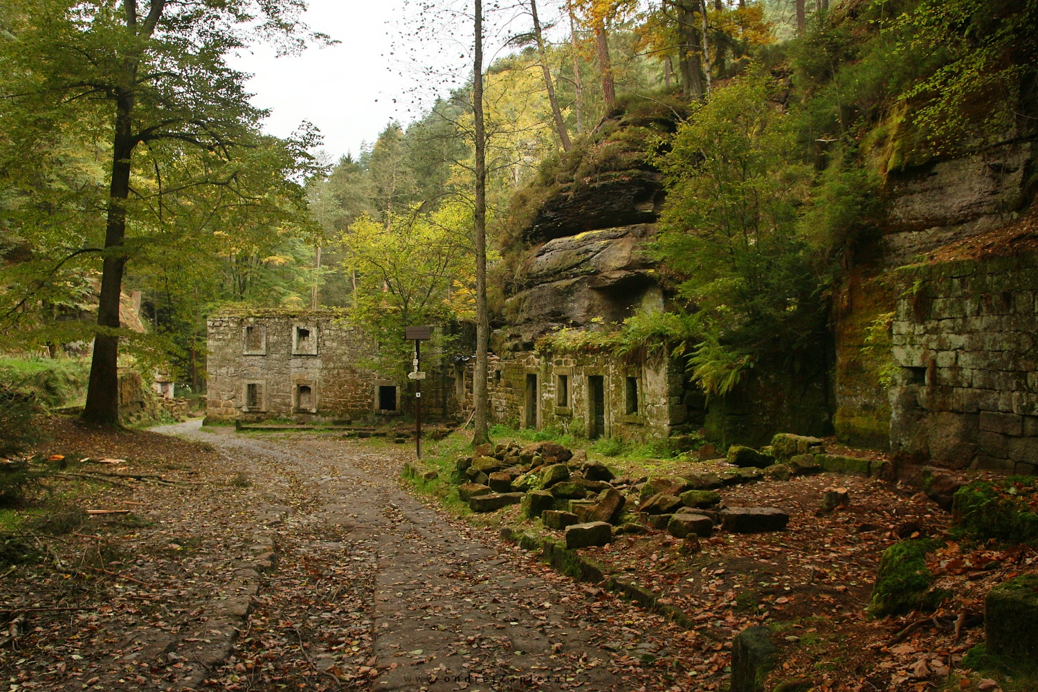 To the Mill (On the photo:  (Urbex photography) budova, les, podzim)