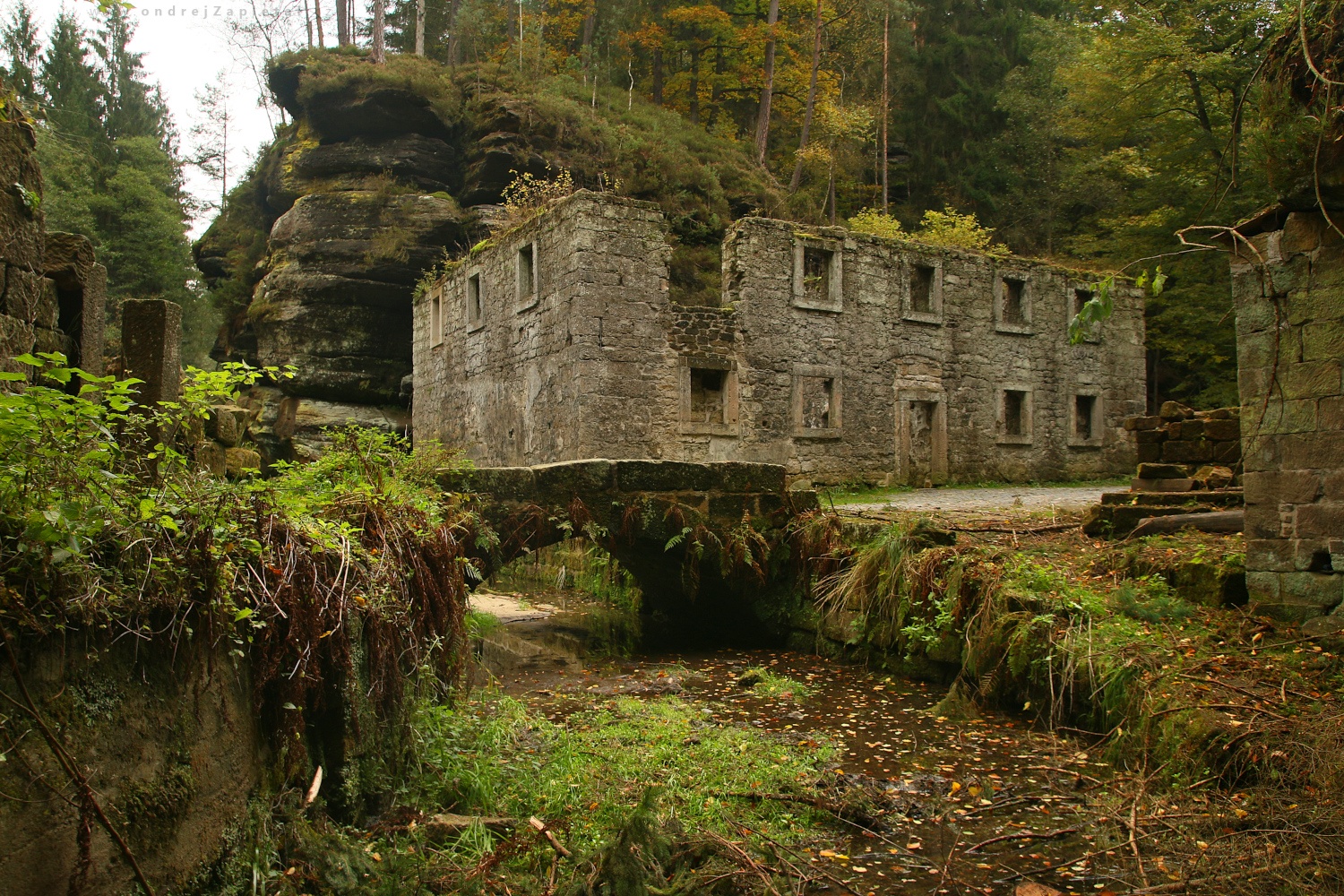 Under the Mill (On the photo:  (Urbex photography) budova, ruiny, les, skála)