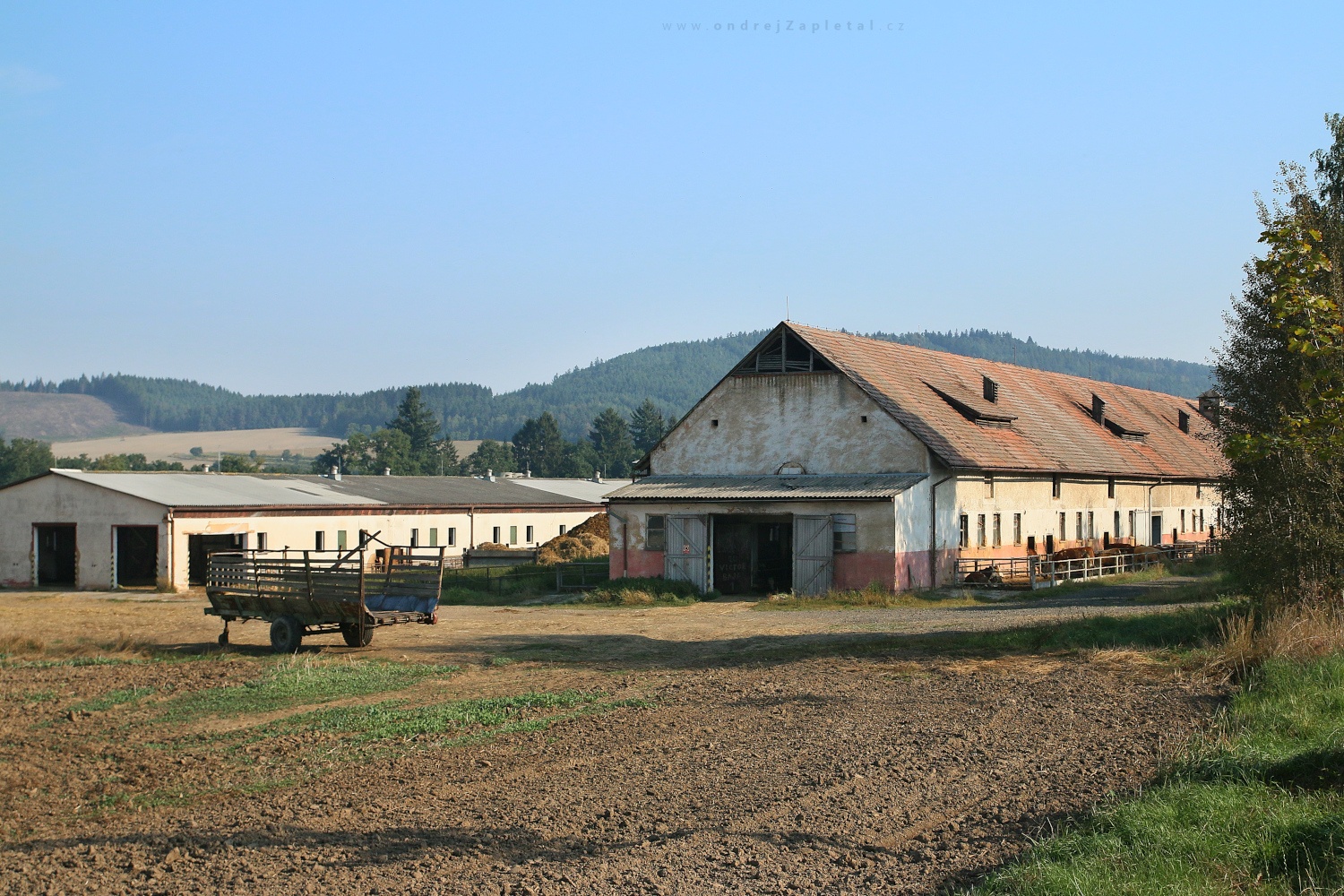 Waiting for Cattle (On the photo:  (Rural photography) venkov, les, budova)
