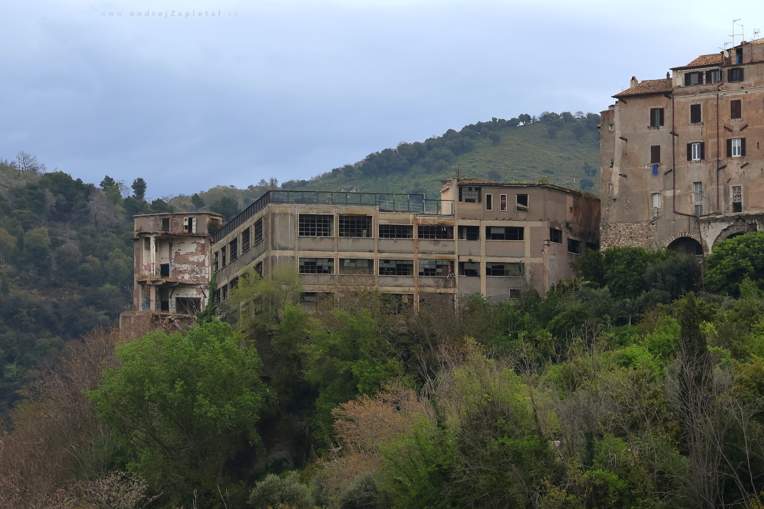 Paper Mill on a Hill (On the photo:  (Urbex photography) ruiny, stromy, jaro)