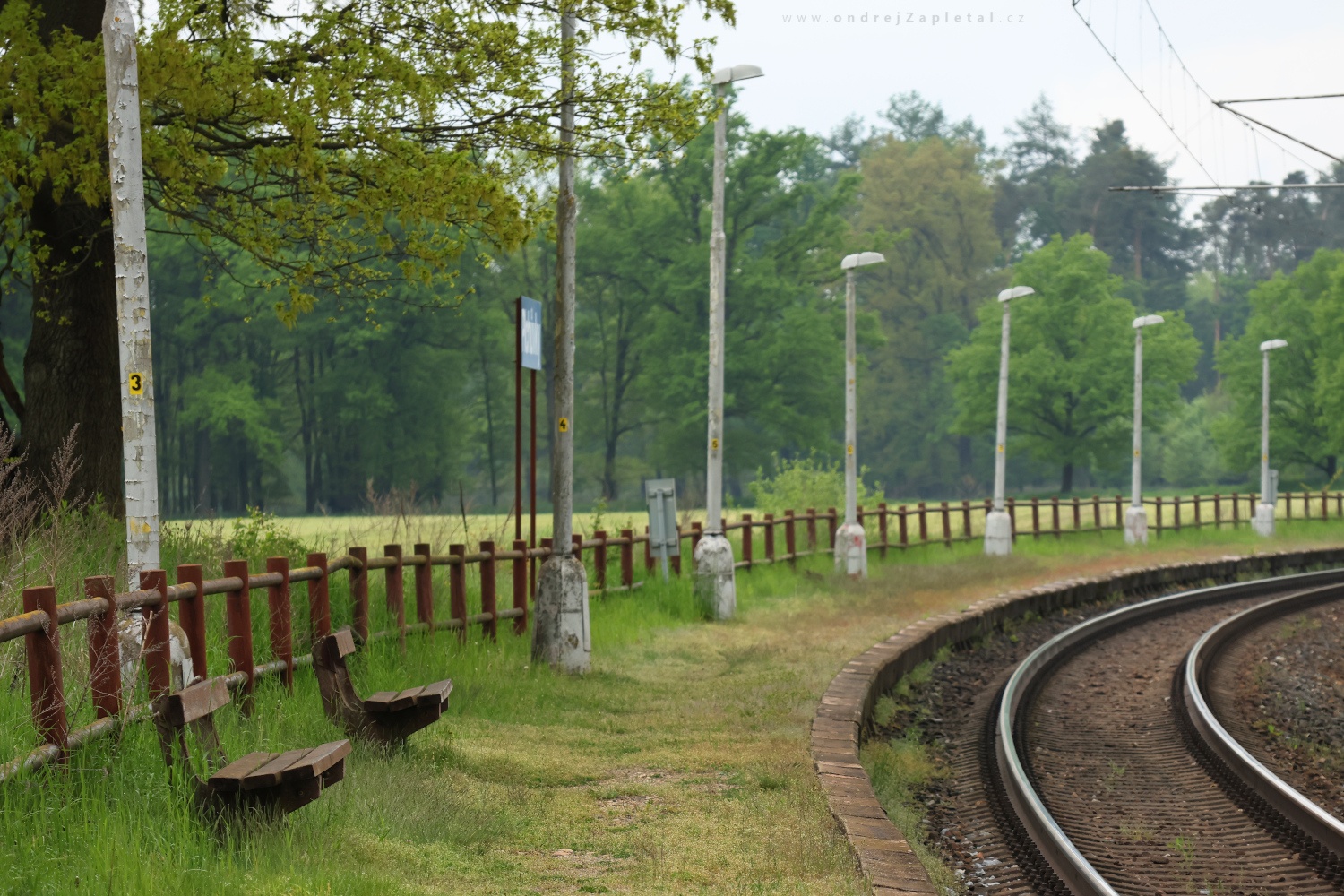 Train Stop in a Curve (On the photo:  (Rural photography) venkov, vlak, jaro)