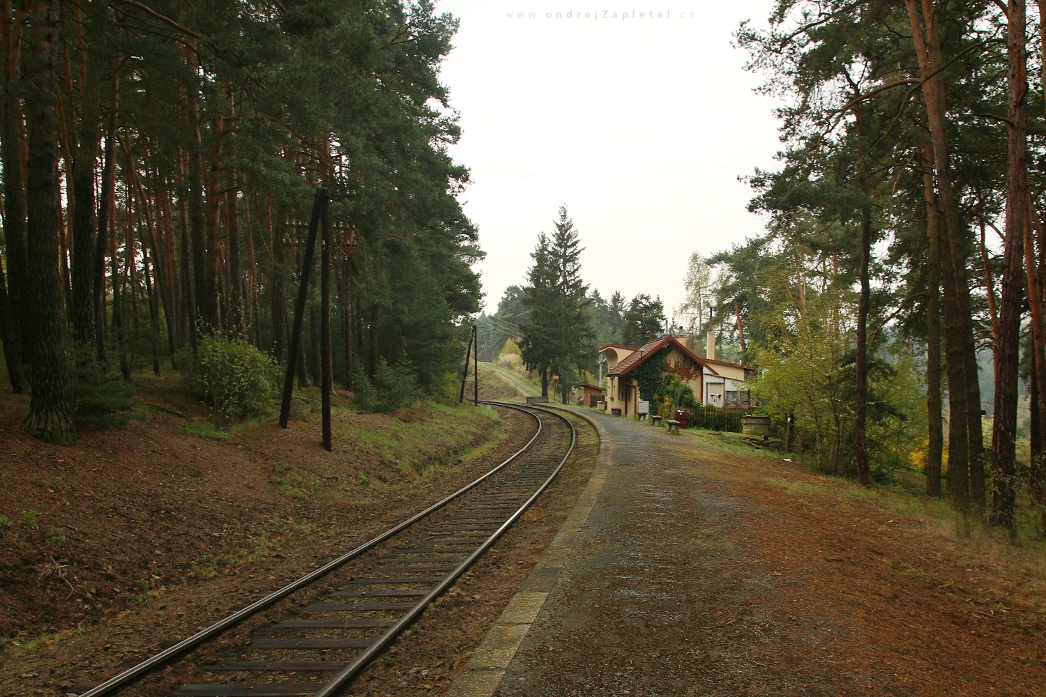 Train Stop in a Curve (On the photo:  (Rural photography) vlak, venkov, les)