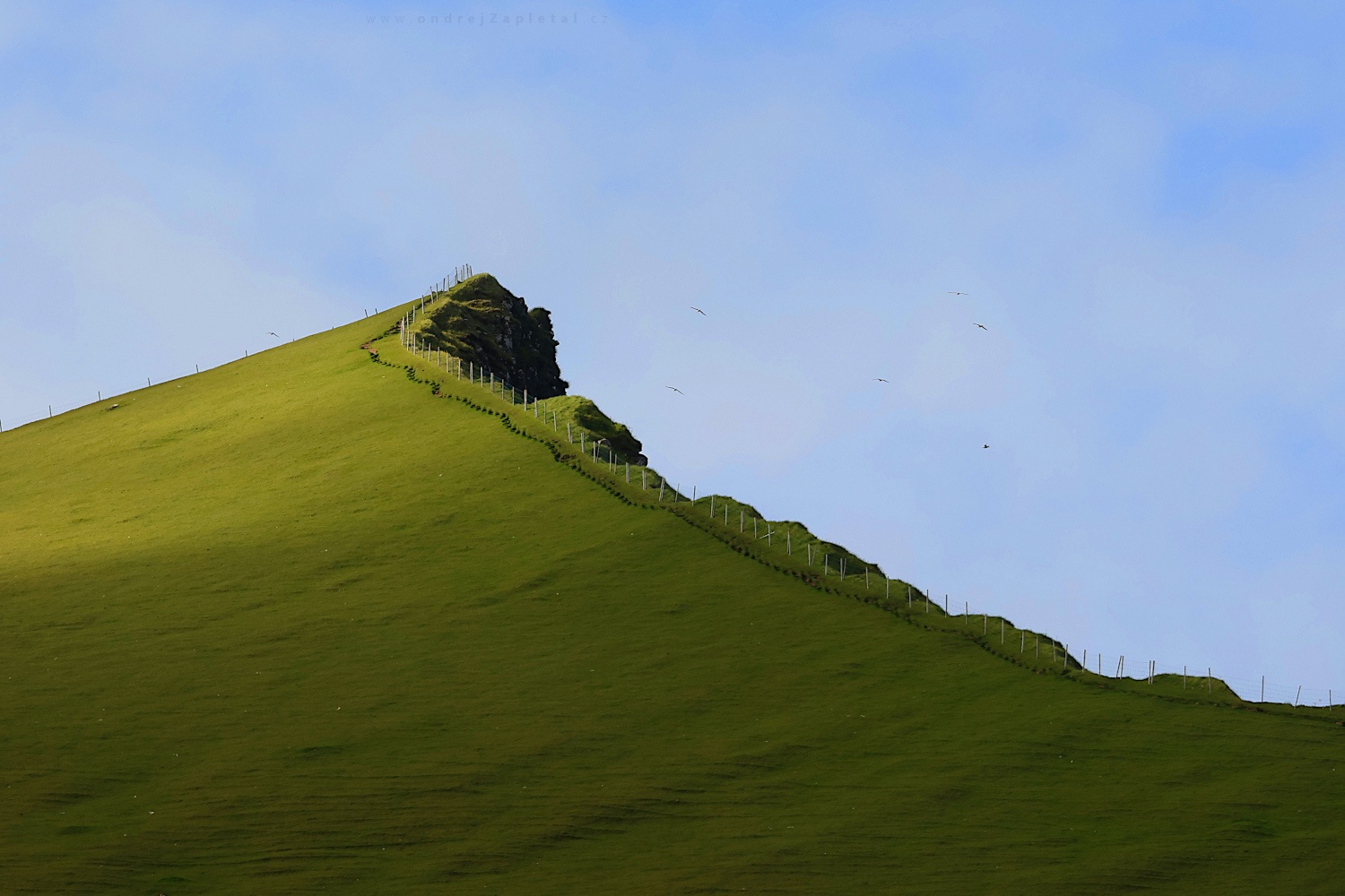 Bitten off (On the photo:  (Nature photography) příroda, hory, ptáci)