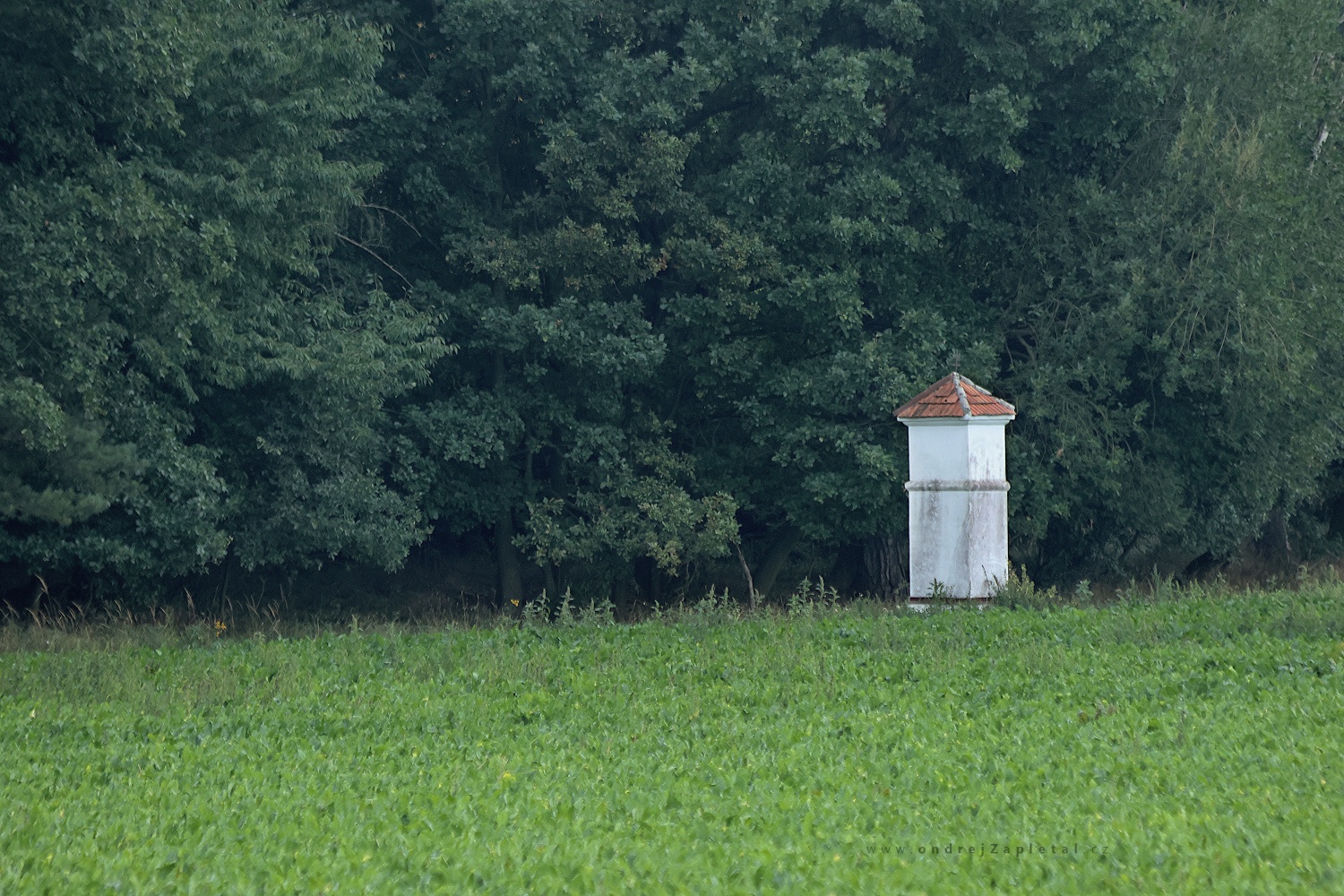 Shrine by the Woods (On the photo:  (Rural photography) venkov, les, pole, venkov)