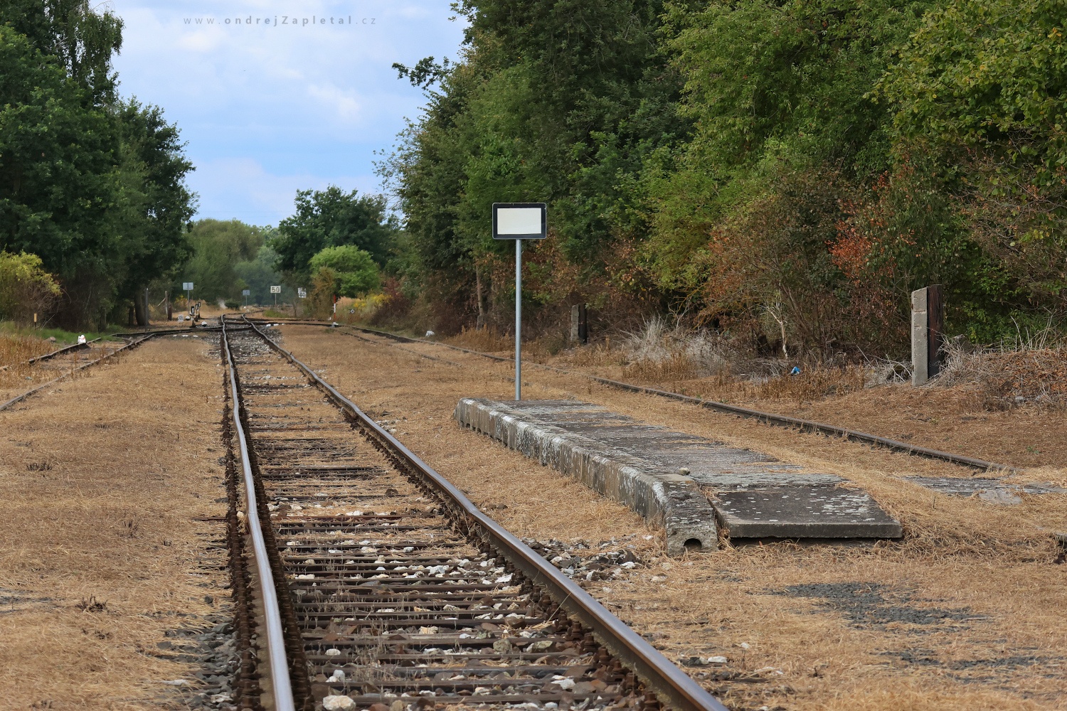 Train Stop Overgrowing (On the photo:  (Rural photography) vlak, venkov, léto)