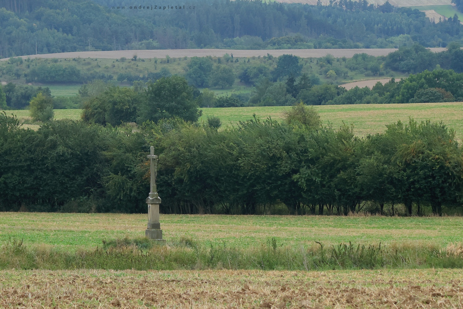 View of the Cross (On the photo:  (Rural photography) socha, pole, venkov, kříž)