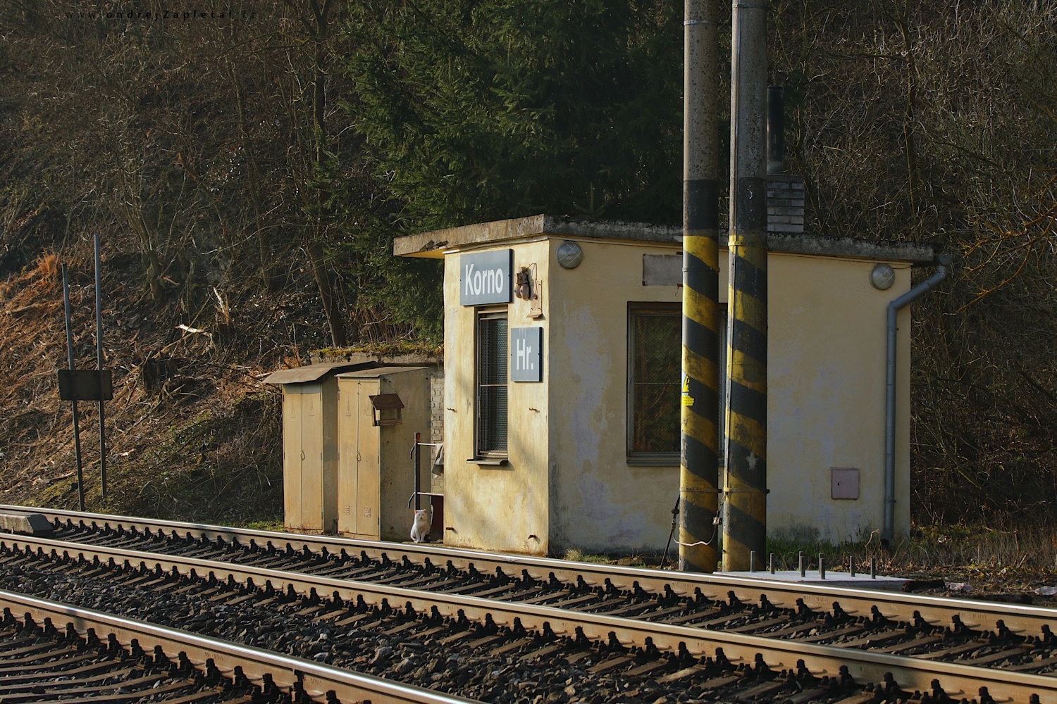 A Little House to Watch Trains (On the photo:  (Industrial Photography) vlak, cesta, budova)