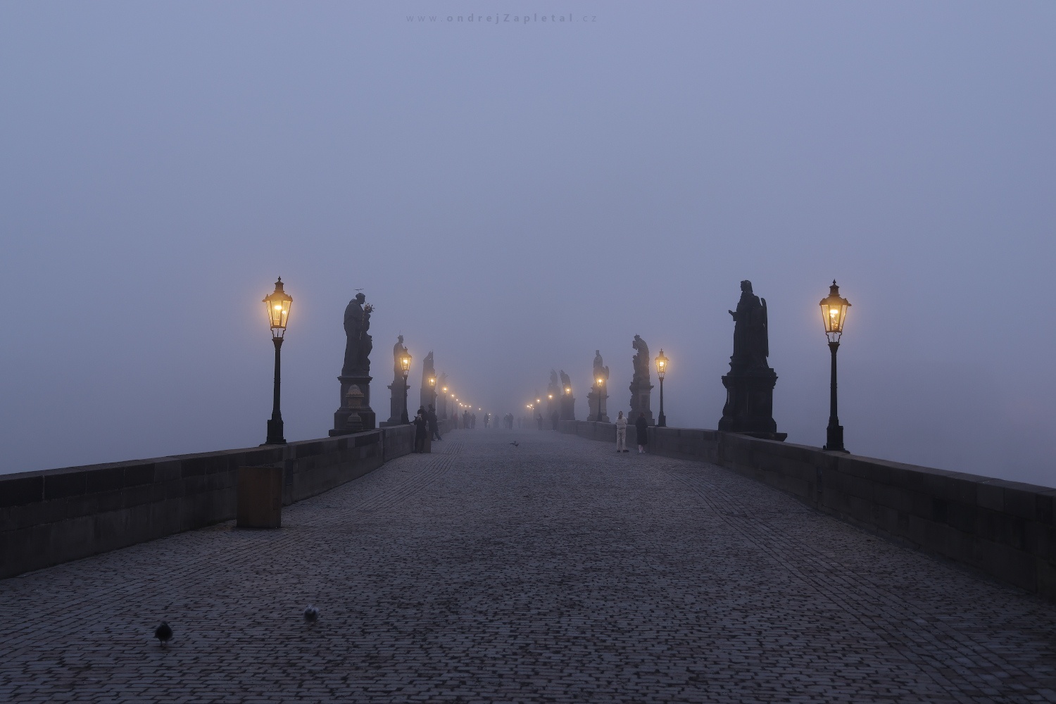 Bridge through Clouds (On the photo:  (Urban photography) most, ráno, mlha, praha)