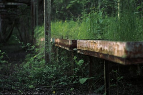 Flowerpots photography