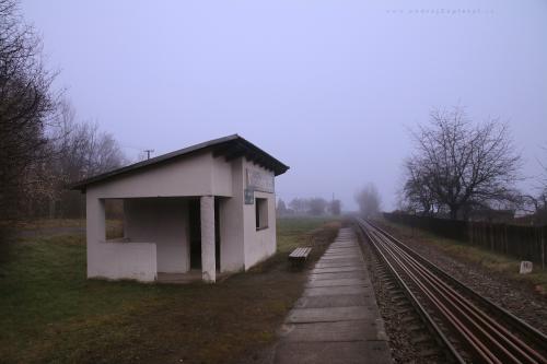 Zastávka v dešti photography