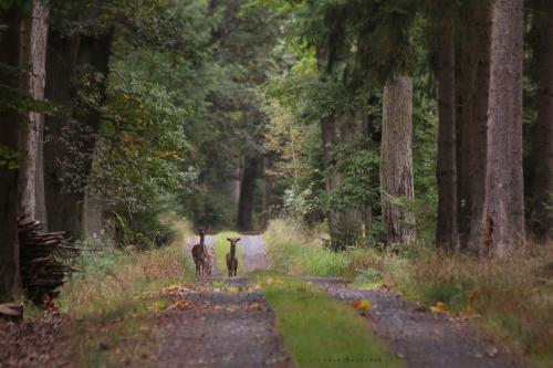 Meeting on a road photography